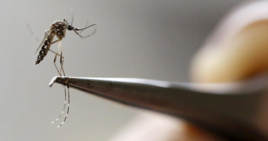 China registra primeiro caso de zika