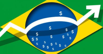 Quais são os ramos da economia que tem se desenvolvido apesar da crise - Brasil News